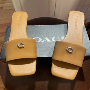 New in box Coach Sculpt C Flat Leather Sandals size 7